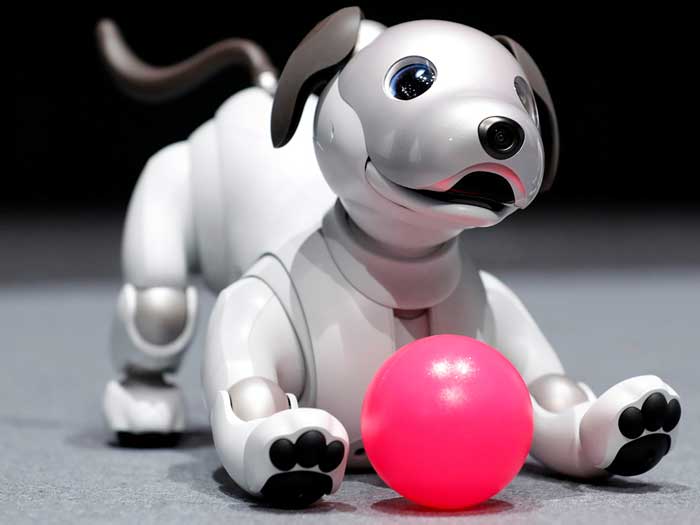 cane robot aibo