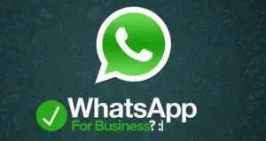 whatsapp profili business